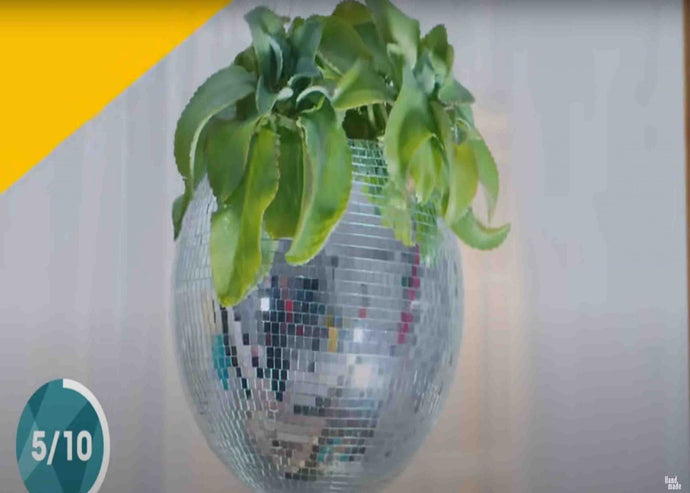 10 Easy DIY Planters You’ve Never Thought Of
