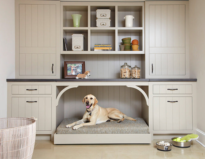 If there’s one thing your pet deserves, it’s a lovely and cozy sleeping space, and you should provide just that