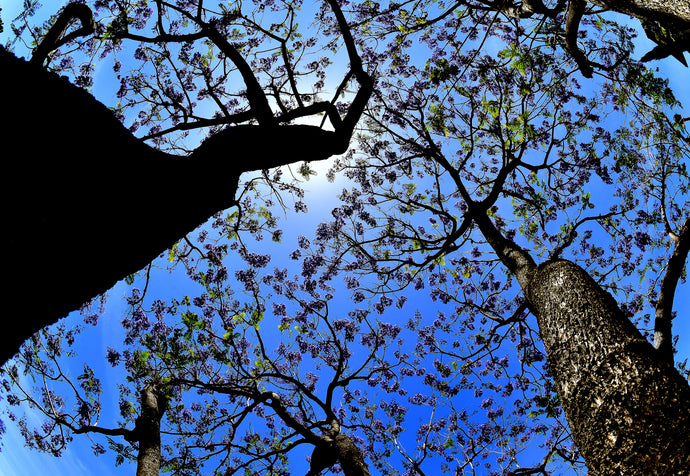 These are the 40 best photos from May chosen by our photographers