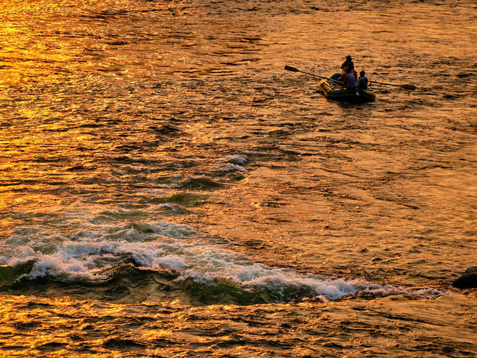 What does fishing have to do with COVID-19 and climate change? Let me tell you