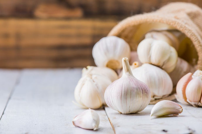 How to Store Garlic and Keep It Fresh for Months